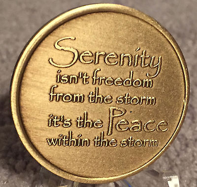 Serenity Lake Peace Within The Storm Bronze Medallion Chip Coin AA NA Sobriety Без бренда - фотография #3