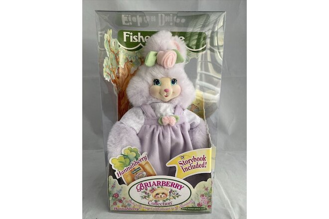 Hannahberry Fisher Price Briarberry Bear Bunny  Missing book @70