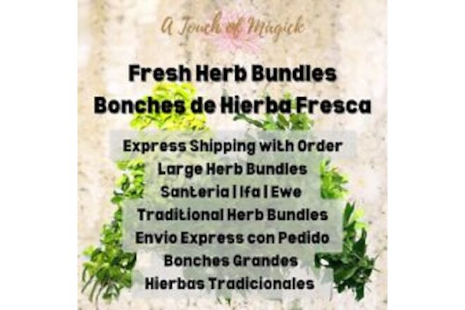 Fresh Herb Bundles | Santeria | Ifa | Ewe | Large Selection | Express Shipping