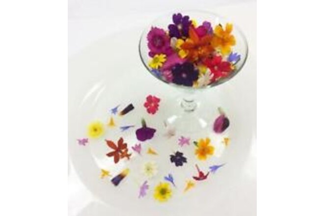 EDIBLE FRESH FLOWERS: Free Overnight, 200 Micro Blooms, Drink Garnish, Ice Cubes