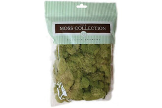 3 Pack Quality Growers Preserved Reindeer Moss 108.5 Cubic Inches-Spring Green Q