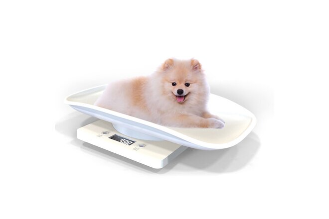 Digital Pet Scale Small Dog Cat Animal Vet Scale Weight Veterinary Diet Healthy