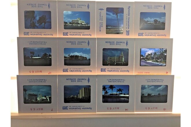 Vintage 1968 Miami Florida Honeymoon Souvenir Photo Slides Lot 12 PC Hotels Palm