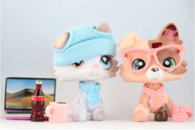 2pcs Custom lps Ice Cream Collie, with Accessories Necklace Tutu Drink Kids Gift