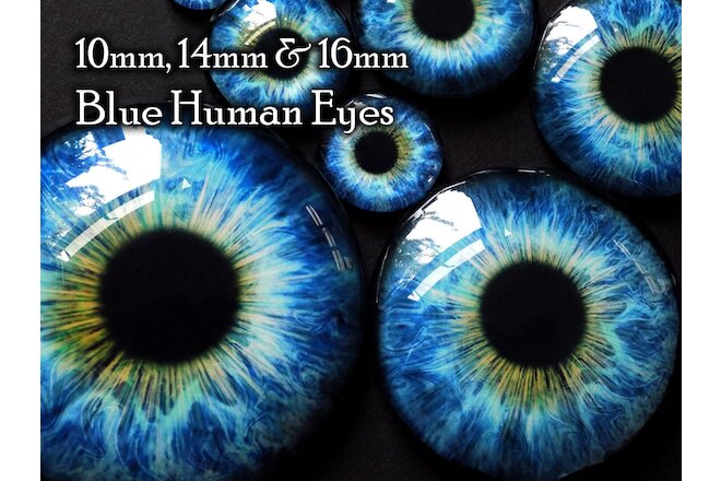 Taxidermy Glass Dragon, Doll, Teddy Eyes, Human Blue 10mm, 14mm, 16mm