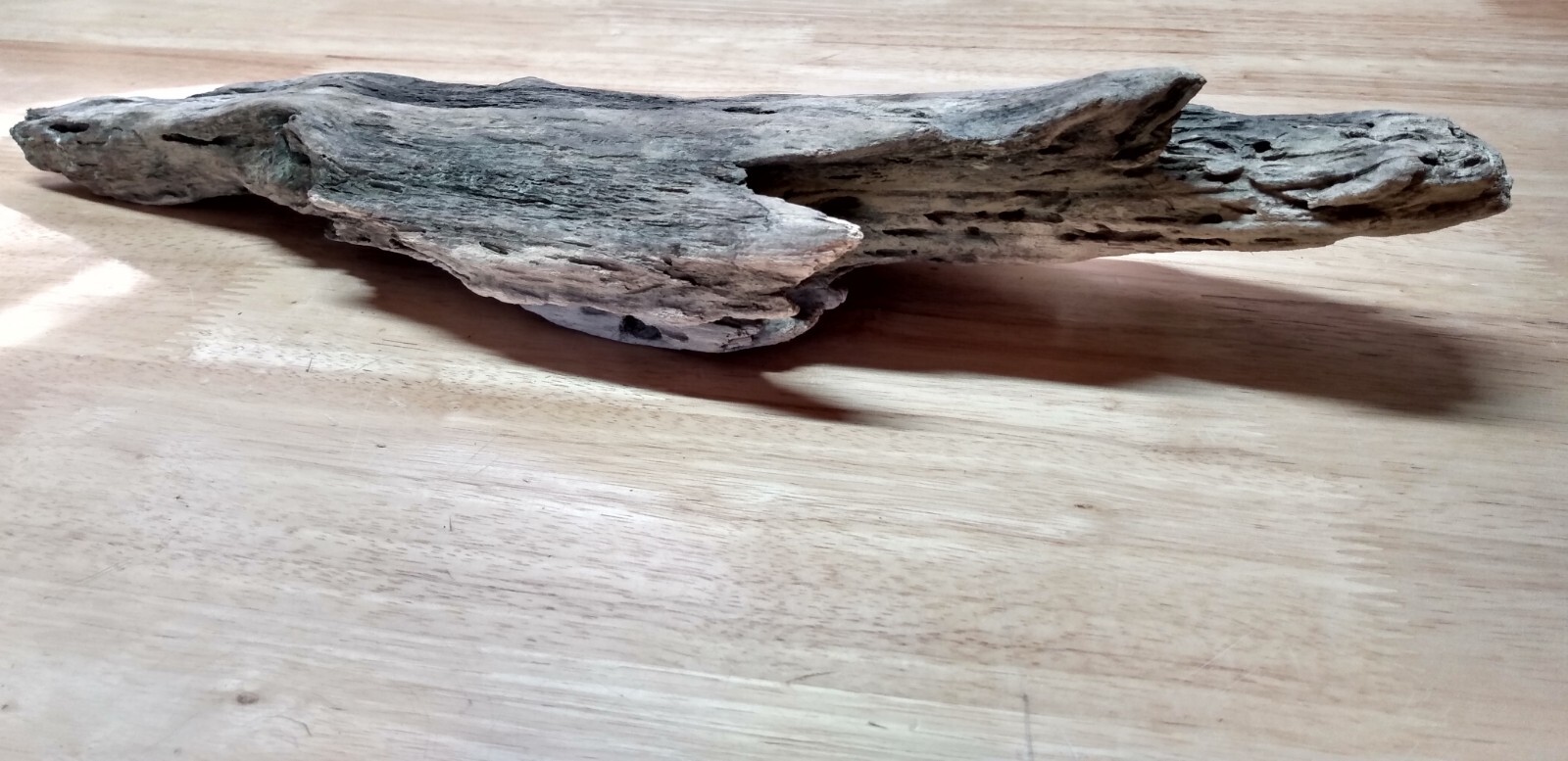 Lot of 5 Driftwood Pieces Reptile Terrarium Tank Art Enclosure Habitat Vivarium  Unbranded - фотография #10