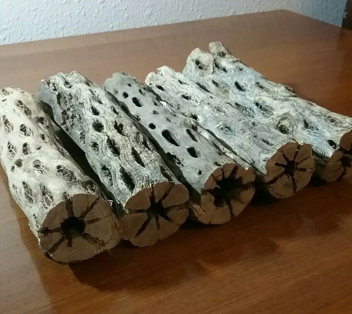 5 THICK pieces of 6" inch CHOLLA Wood Cactus | Fish, Shrimp Aquarium | Crafts! ephinCHOLLA - фотография #2
