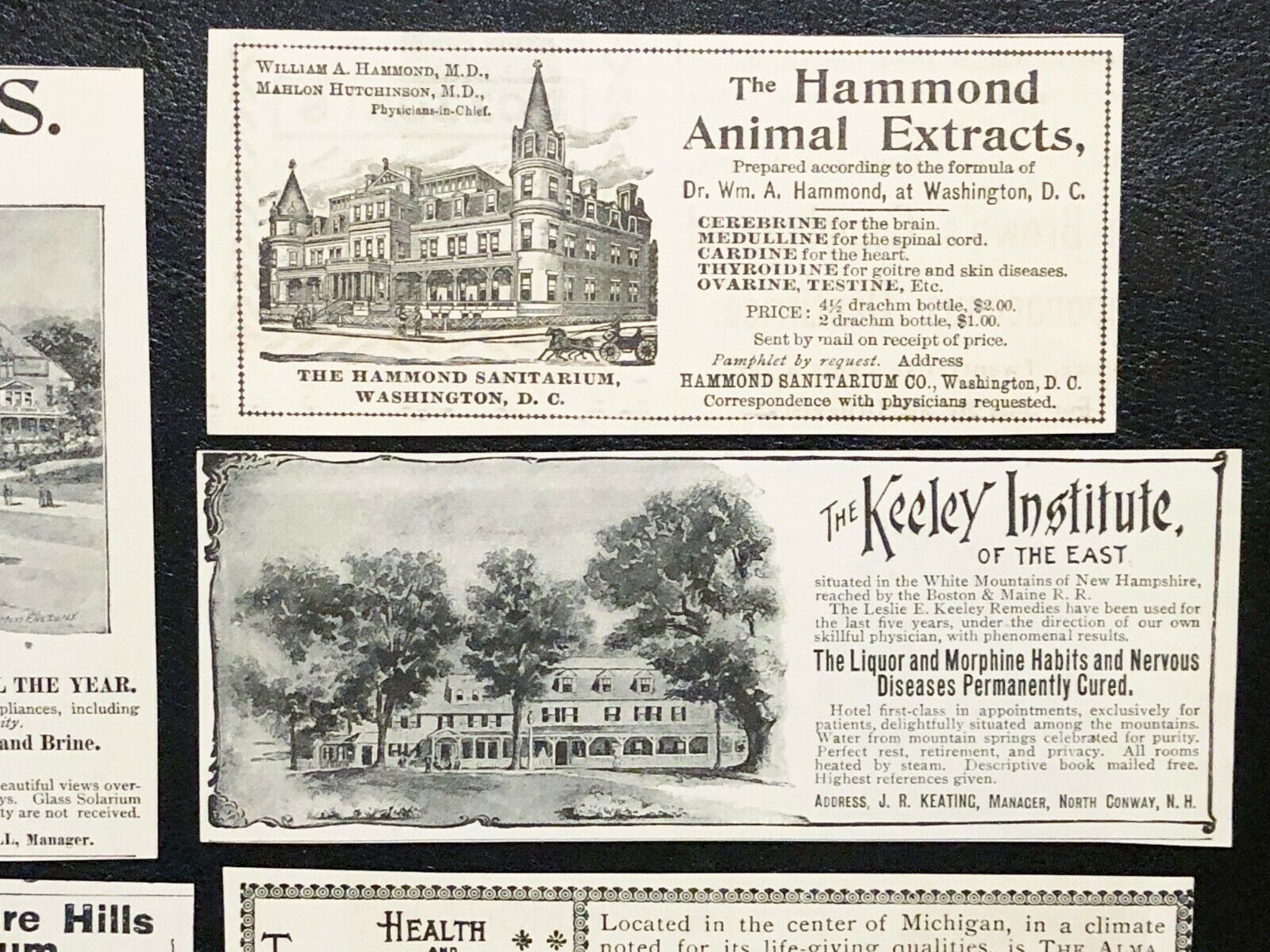 1890s SANITARIUM BUILDINGS Vtg Print Ad Lot~Glen Springs,The Alma,Hygeia,Keeley+ Без бренда - фотография #3