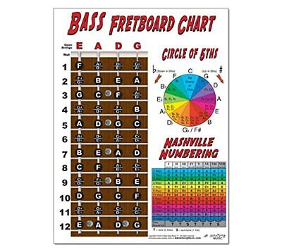 Laminated 4 String Bass Fretboard Notes Chart Nashville Number System & Circl... Без бренда - фотография #6