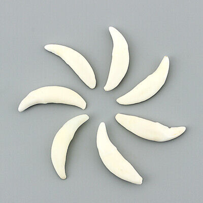10PCS Real Wolf Bone Tooth Figure Fangs Amulet Charm Pendant DIY Jewelry Unbranded Does Not Apply