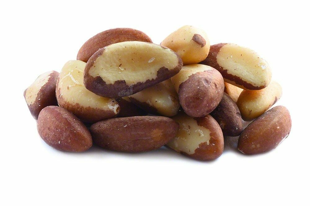 ROASTED BRAZIL NUTS SALTED NO SHELL 1 LB BAG & FREE SHIPPING NUTSTOP - фотография #3