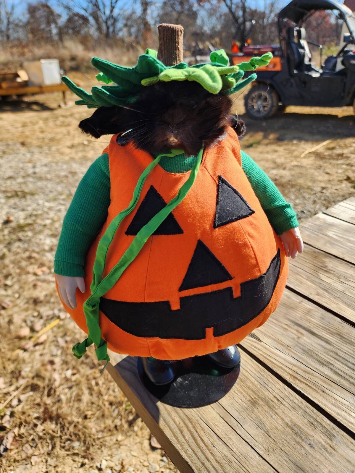 Halloween Pumpkin Rabbit Doll taxidermy rabbit Bunny hunting cabin Mount Без бренда