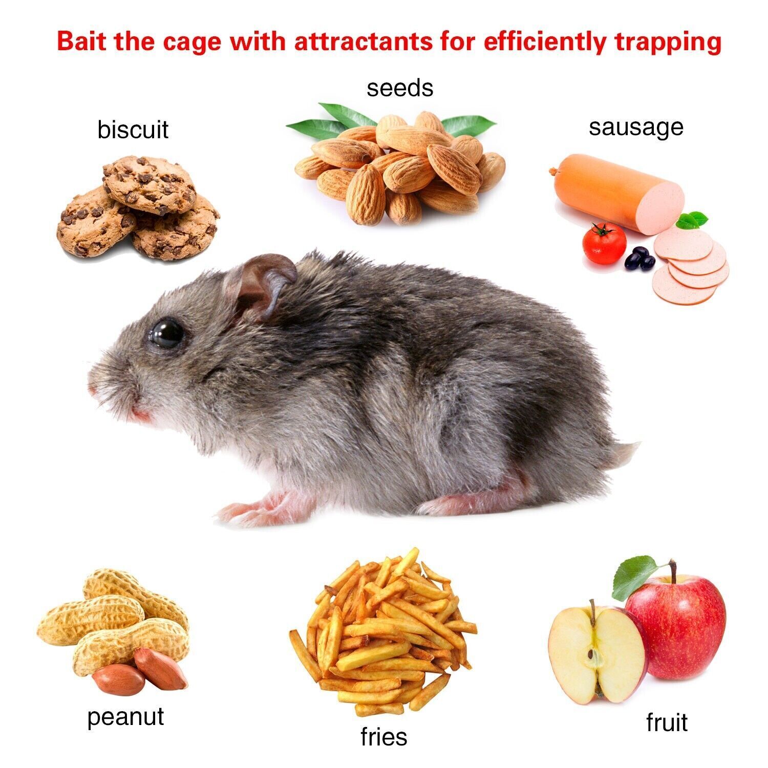 2 Packs Animal Live Rat Trap Cage for Squirrel Chipmunk Control 10.6"x5.5"x4.3" iMounTEK - фотография #3