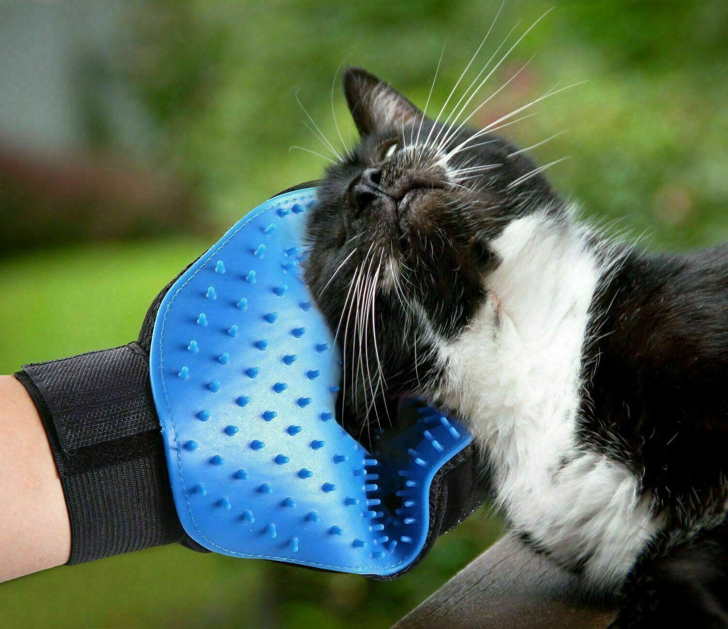 1 Pair Pet Dog Cat Hair Remover Mitt Massage Brush Deshedding Grooming Gloves Unbranded Does Not Apply - фотография #7