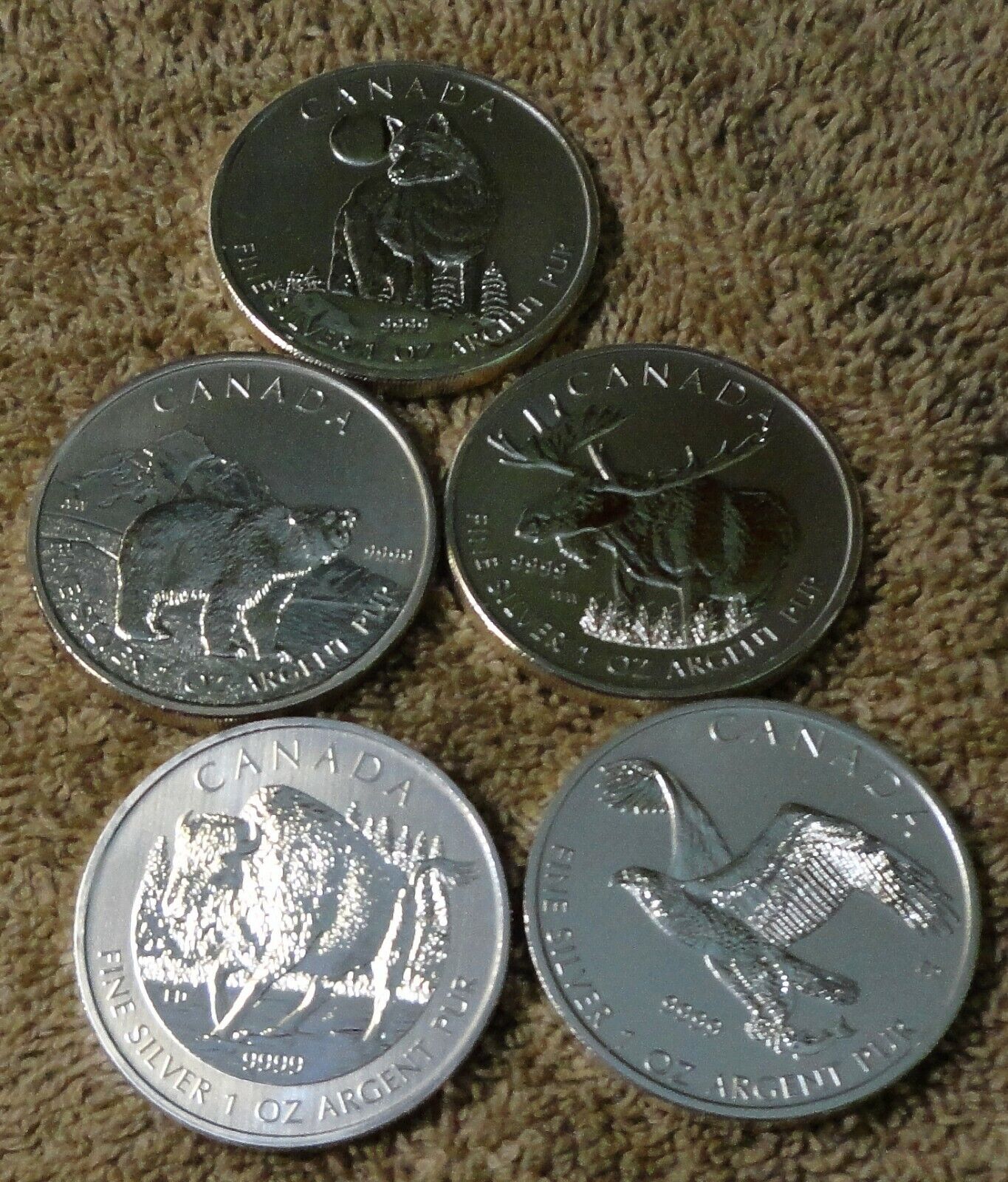 Lot (5) Royal Canadian Mint Wildlife Series 1 oz. .9999 Fine Silver Gem BU Без бренда