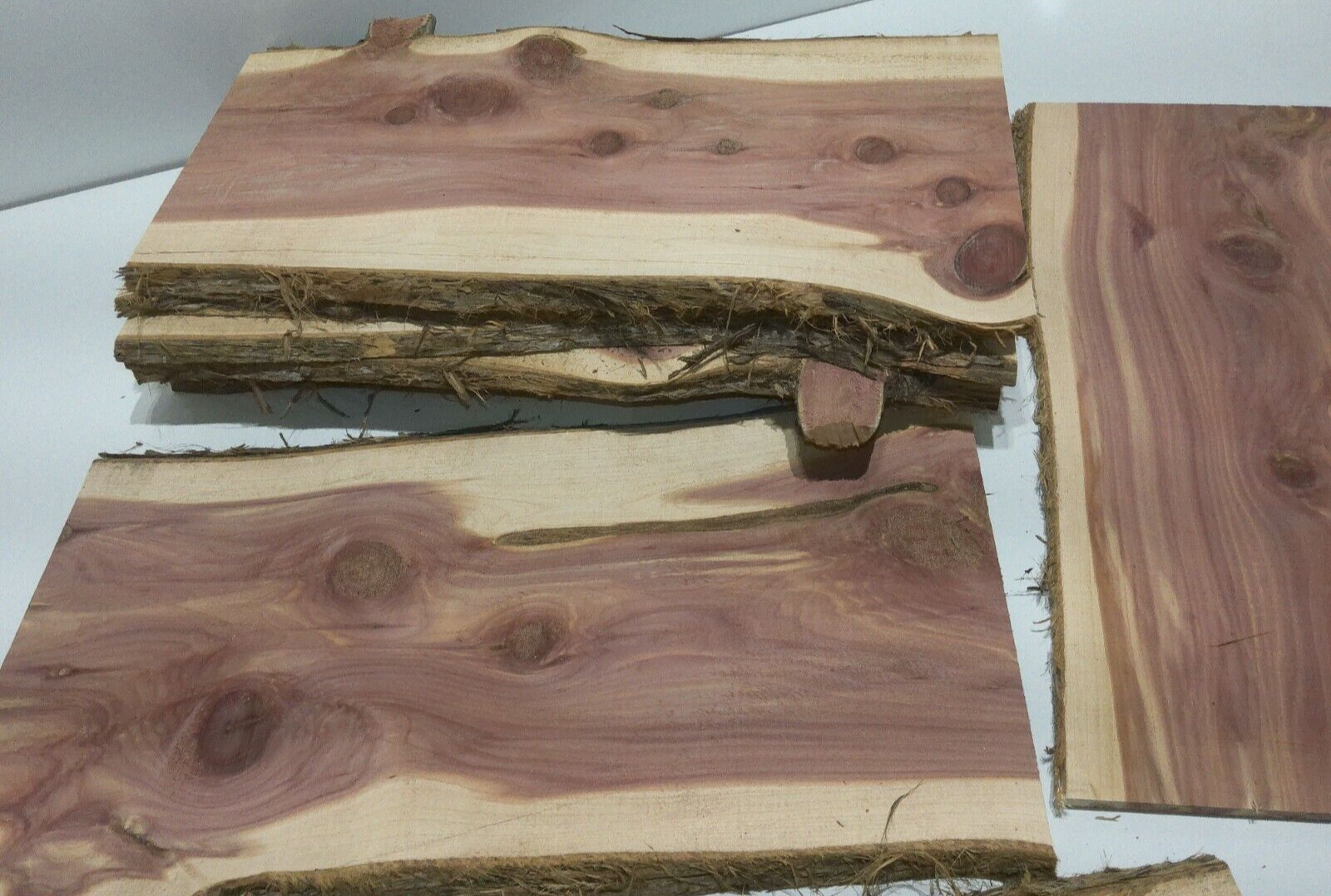 1 Milled Kiln Dried Eastern Red Cedar Lumber SLAB 24" X 8-12" X 1/2" RARE Our Wood Shop - фотография #6