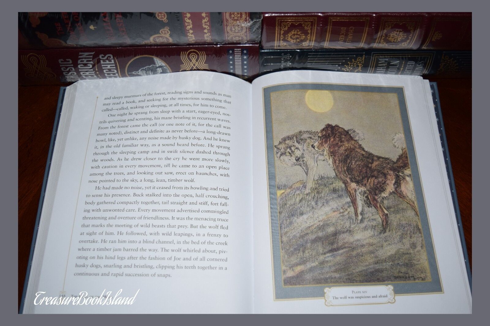 New Call of the Wild by Jack London Illustrated Leather Bound Sealed Collectible Без бренда - фотография #7