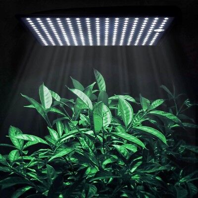 2x 225 SMD LED Grow Light Hydroponic Plant Veg Indoor Ultrathin Panel White Lamp Apluschoice 11GRL009-225T-Wx2 - фотография #9