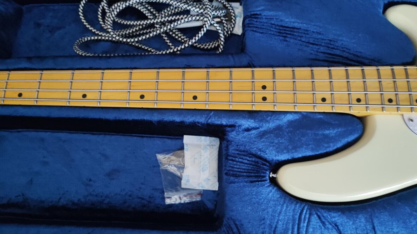 Beautiful New White Schecter CV-4 Bass w/ Maple Neck & Schecter Hard Shell Case Schecter Schecter CV-4 - фотография #8