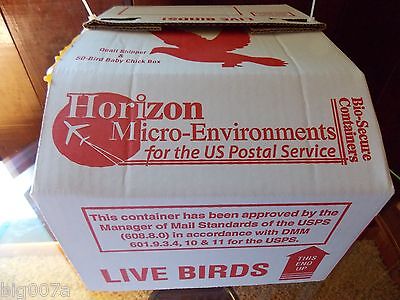 20 Horizon Quail Nest or Baby Chick Shipping Boxes with FREE Shipping Horizon Single Shippers - фотография #4