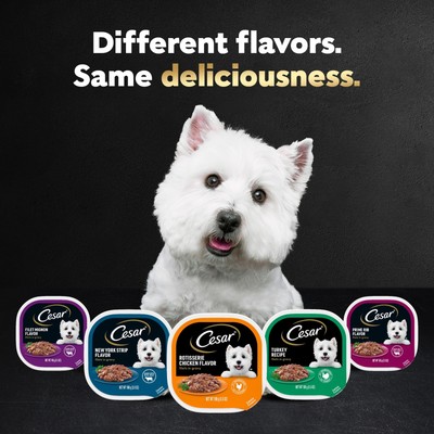 Filets in Gravy Adult Wet Dog Food, Filet Mignon, New York Strip and Prime Ri... Cesar - фотография #4