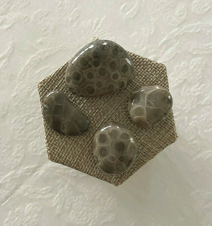 A SET OF 4 PETOSKEY STONES - GREAT PRICE INCLUDES FREE SHIPPING! Без бренда - фотография #3
