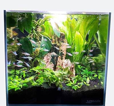 LIFEGARD Low Iron Ultra Clear 4 Gallon Crystal Aquarium with Built in Side Fi... Lifegard Aquatics - фотография #2