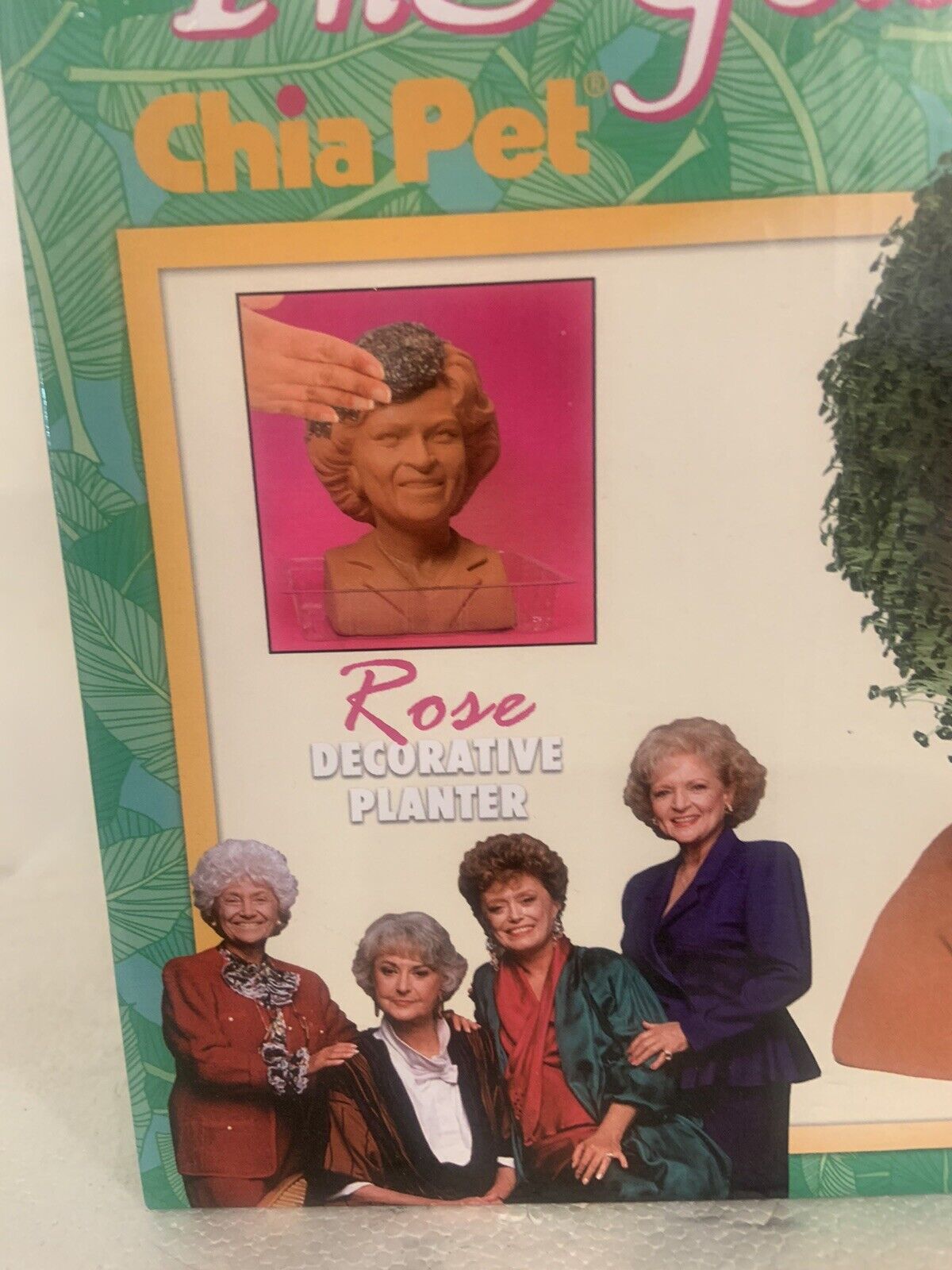 The Golden Girls “Rose” Chia Pet Decorative Planter Head Betty White New 2018 Chia Pet - фотография #7