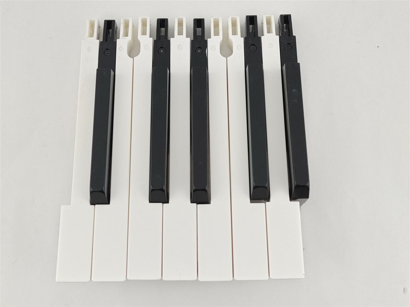 LOT 12 Casio Full Octave Keys Set Replacement PX-Series CDP-120 Keyboard Part Casio 12 Key Full Octave