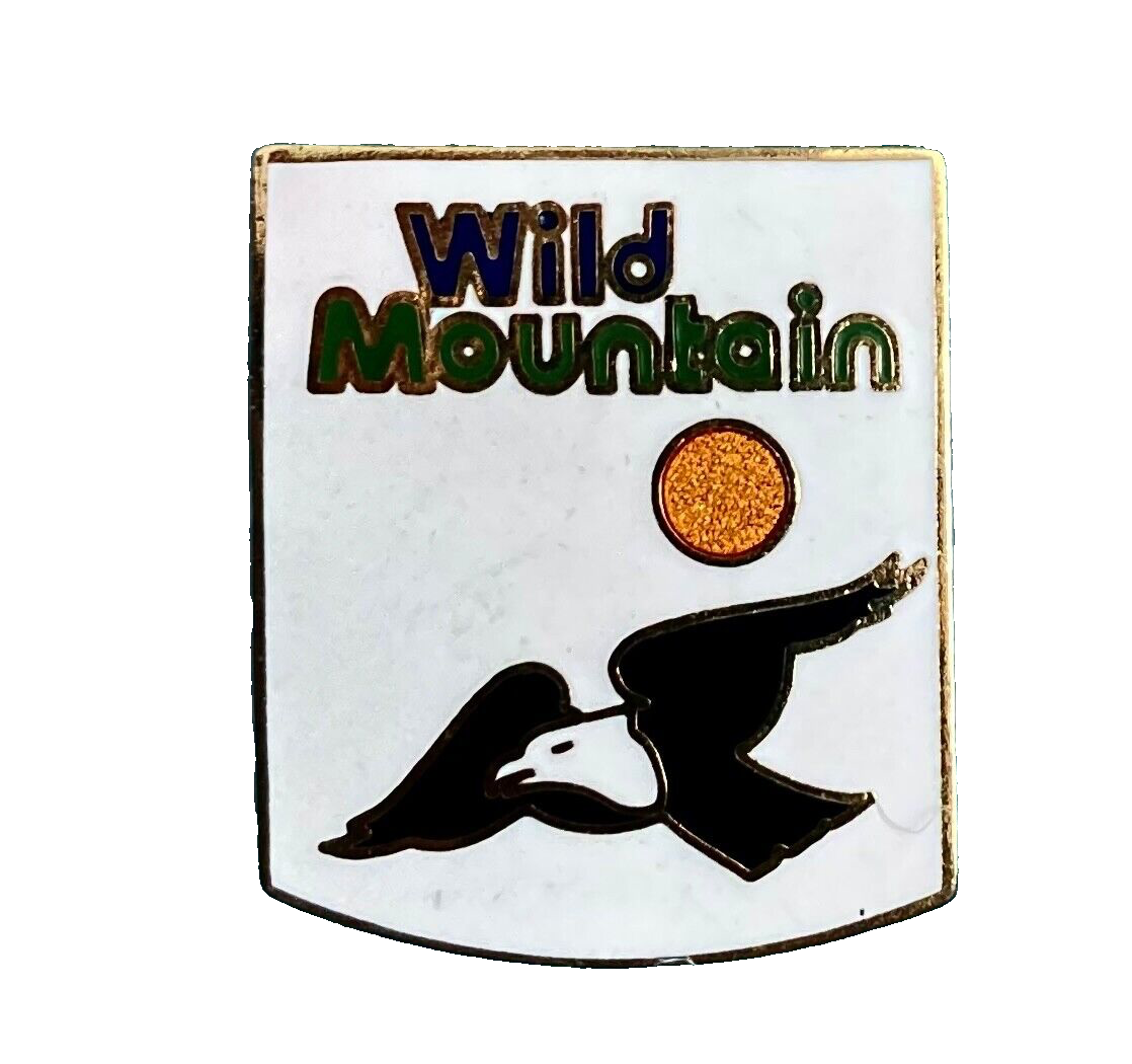 Wild Mountain Ski Pin MINNESOTA Resort Travel Lapel Pin 1990s Без бренда
