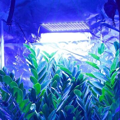 4x 225 SMD LED Grow Light Indoor Hydroponic Plant Flower Panel Lamp Blue White Apluschoice 11GRL009-225T-BWx4 - фотография #9