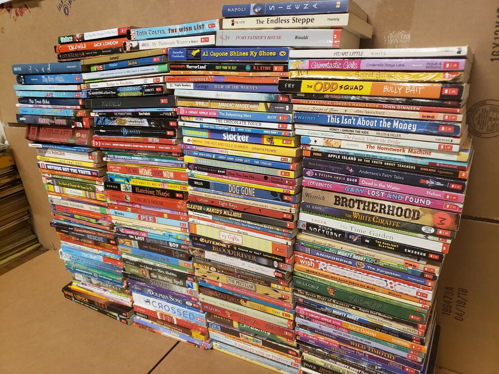 Lot of 50 Chapter INSTANT LIBRARY Children Young Adult RANDOM UNSORTED BOOKS MIX Без бренда