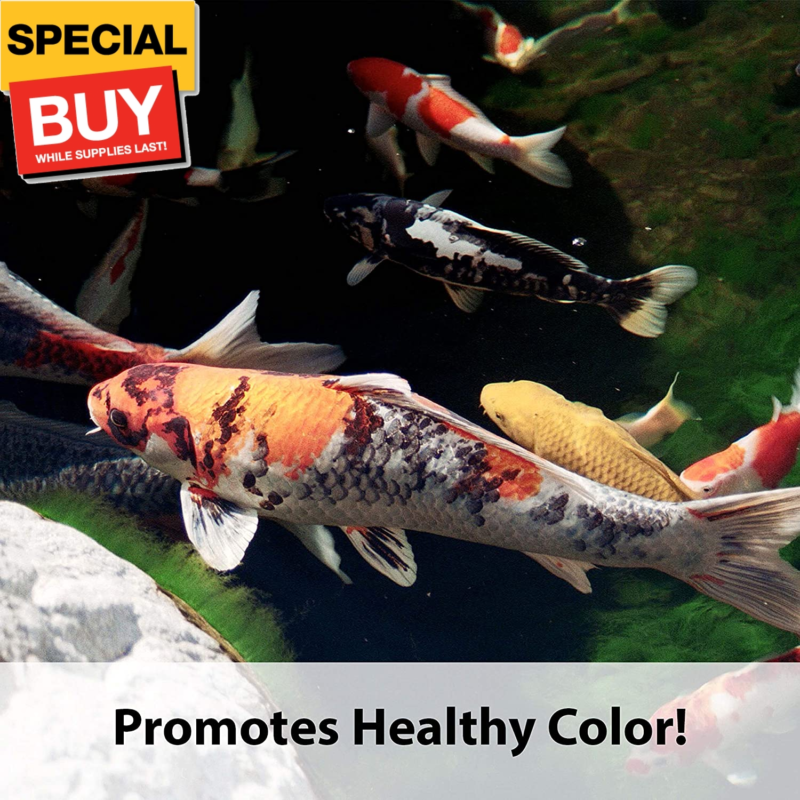 Koi'S Choice Koi Floating Fish Food, 10 Pound Does not apply - фотография #3