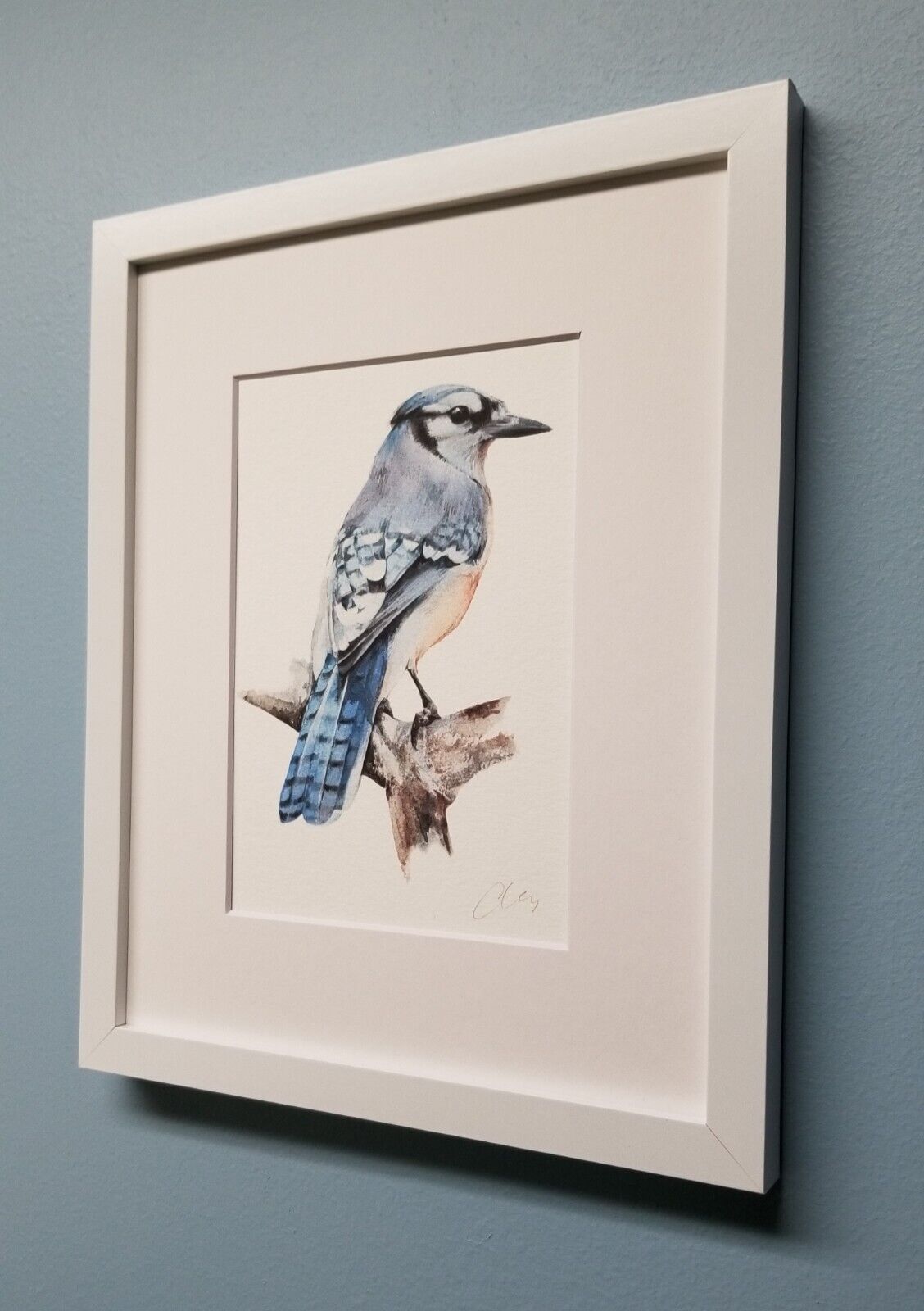 Blue Jay. Print of an original watercolor painting. Backyard Bird illustration. Без бренда - фотография #2