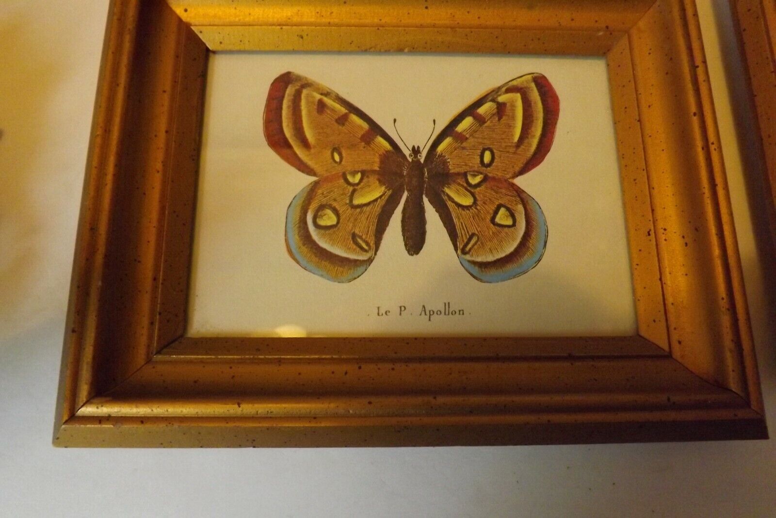 Vintage Home Interiors Brass Butterfly & Copper Daisy Wall Hanging & 2 Pictures Без бренда - фотография #3