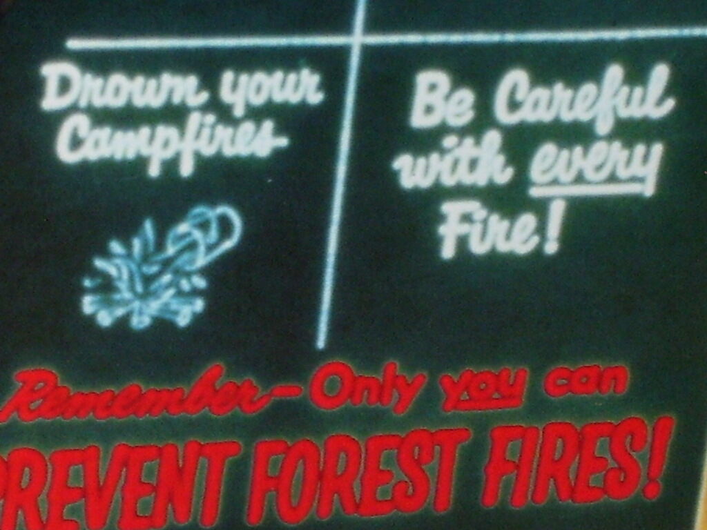 SMOKEY THE BEAR being a Teacher - With Tips To Prevent FOREST FIRE -> Great Sign Без бренда - фотография #10