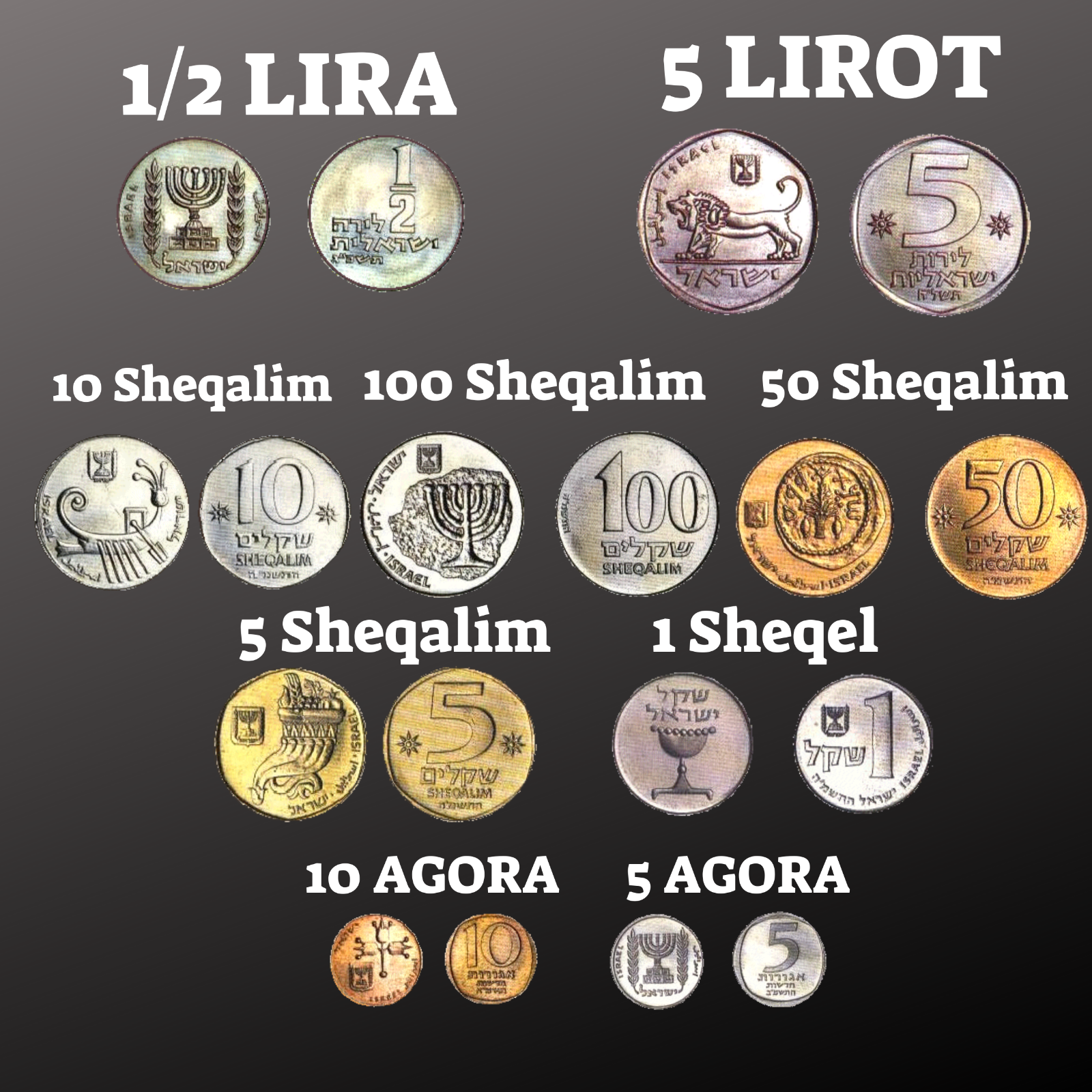 Lot of 9 Israel Sheqel & Lira Coins Israeli Coin World Coins Set Currency Money Без бренда - фотография #9