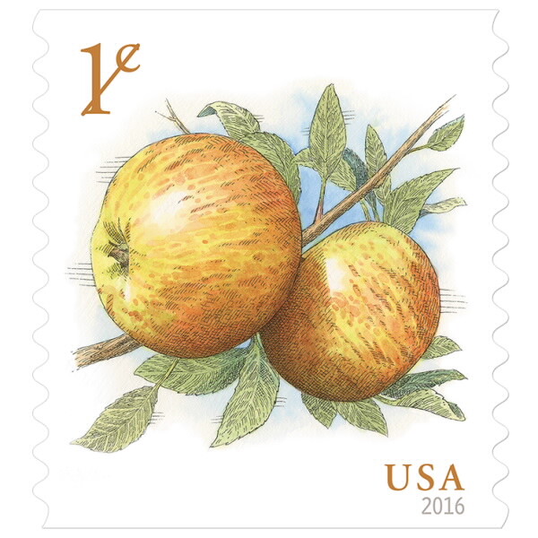 US Fruit Strips x6 Varieties 5 Stamps Each - #s 5037 5256 5201 5652 5038 5039 Без бренда - фотография #2