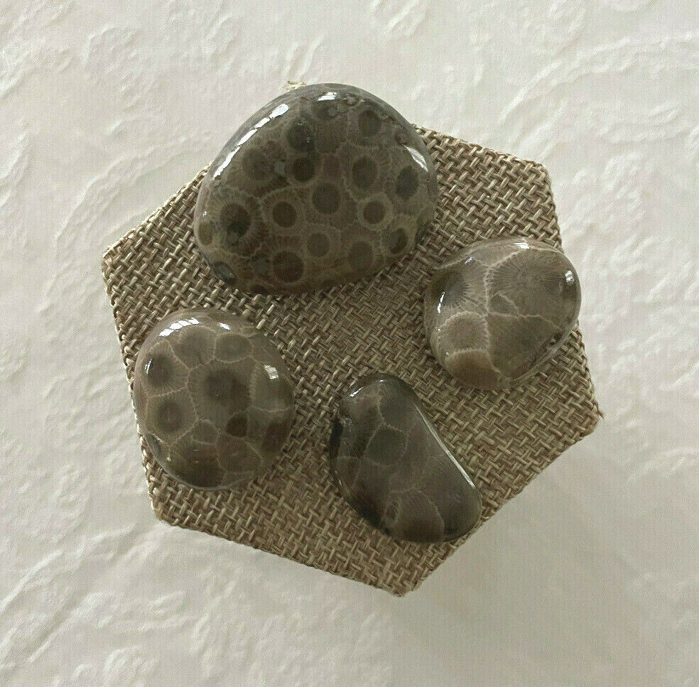 A SET OF 4 PETOSKEY STONES - GREAT PRICE INCLUDES FREE SHIPPING! Без бренда