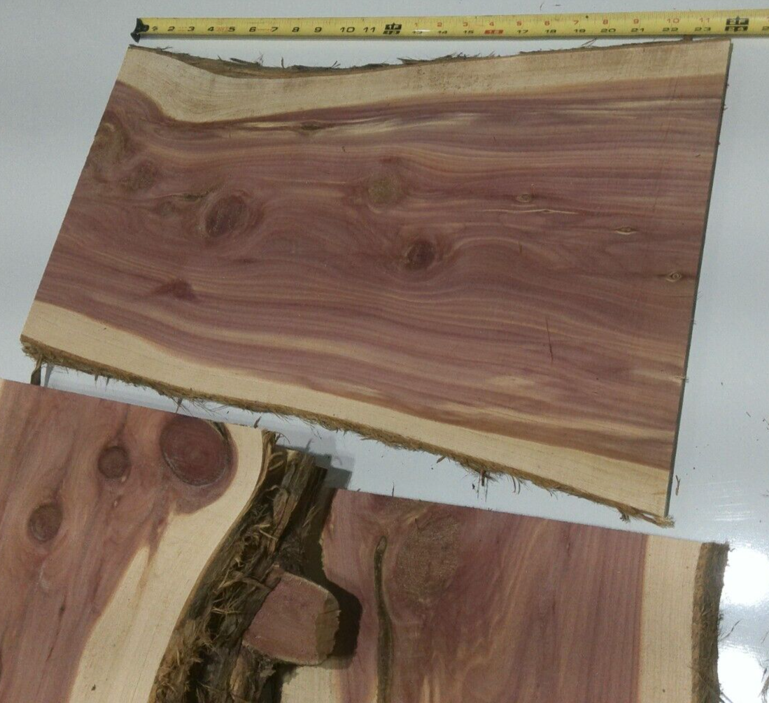 1 Milled Kiln Dried Eastern Red Cedar Lumber SLAB 24" X 8-12" X 1/2" RARE Our Wood Shop - фотография #10