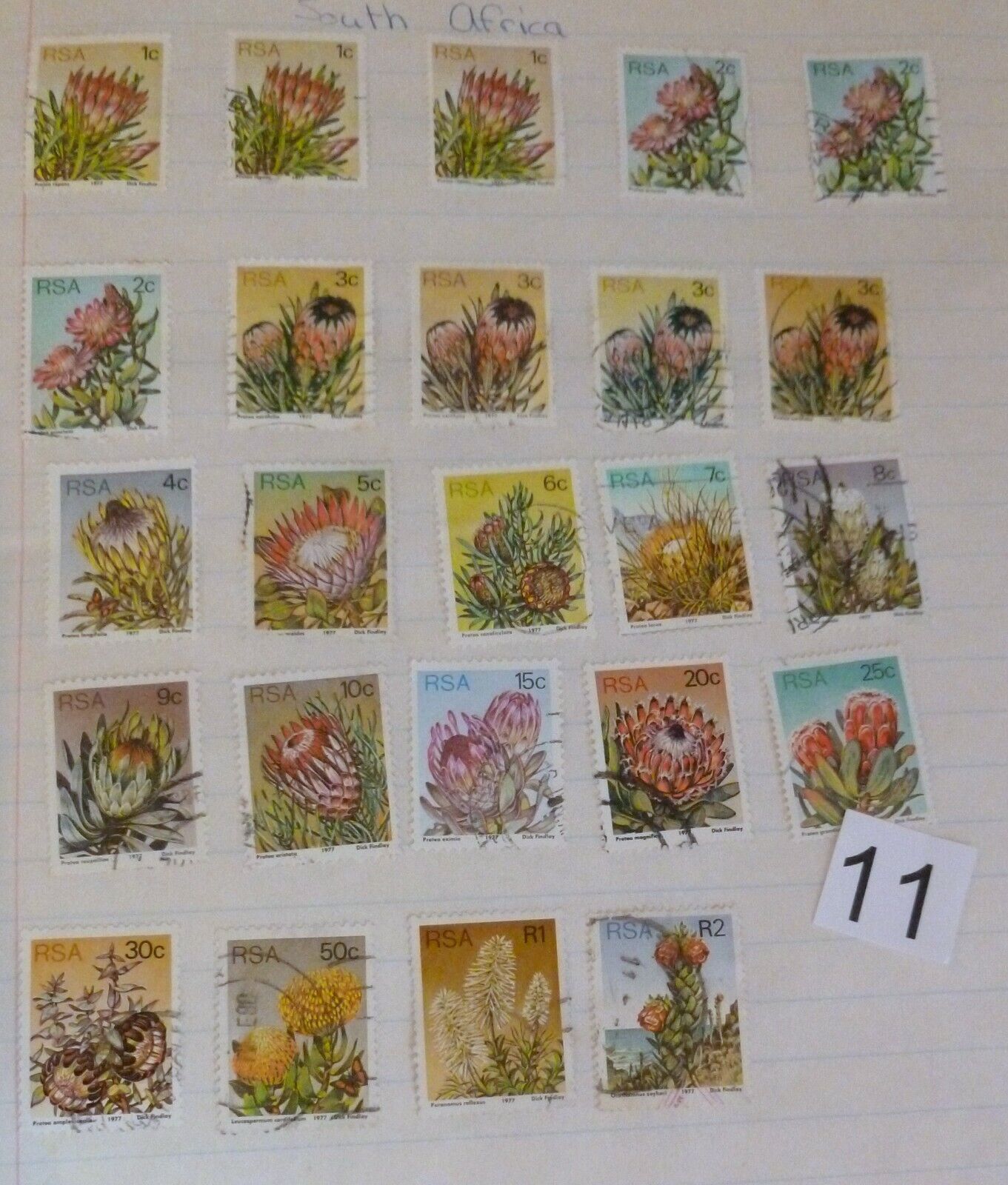 SOUTH AFRICA 24 POSTAGE STAMPS PROTEA Flowers 10 w/ Background Color Variation  Без бренда