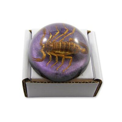 REALBUG 2 1/2 x 1 1/4" Golden Scorpion Dome Paperweight Purple  Does not apply Does Not Apply - фотография #3