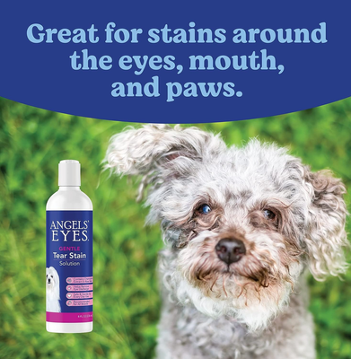 Angels Eyes Dog Tear Stain Solution 8 oz Angel's Eyes Not Applicable - фотография #5
