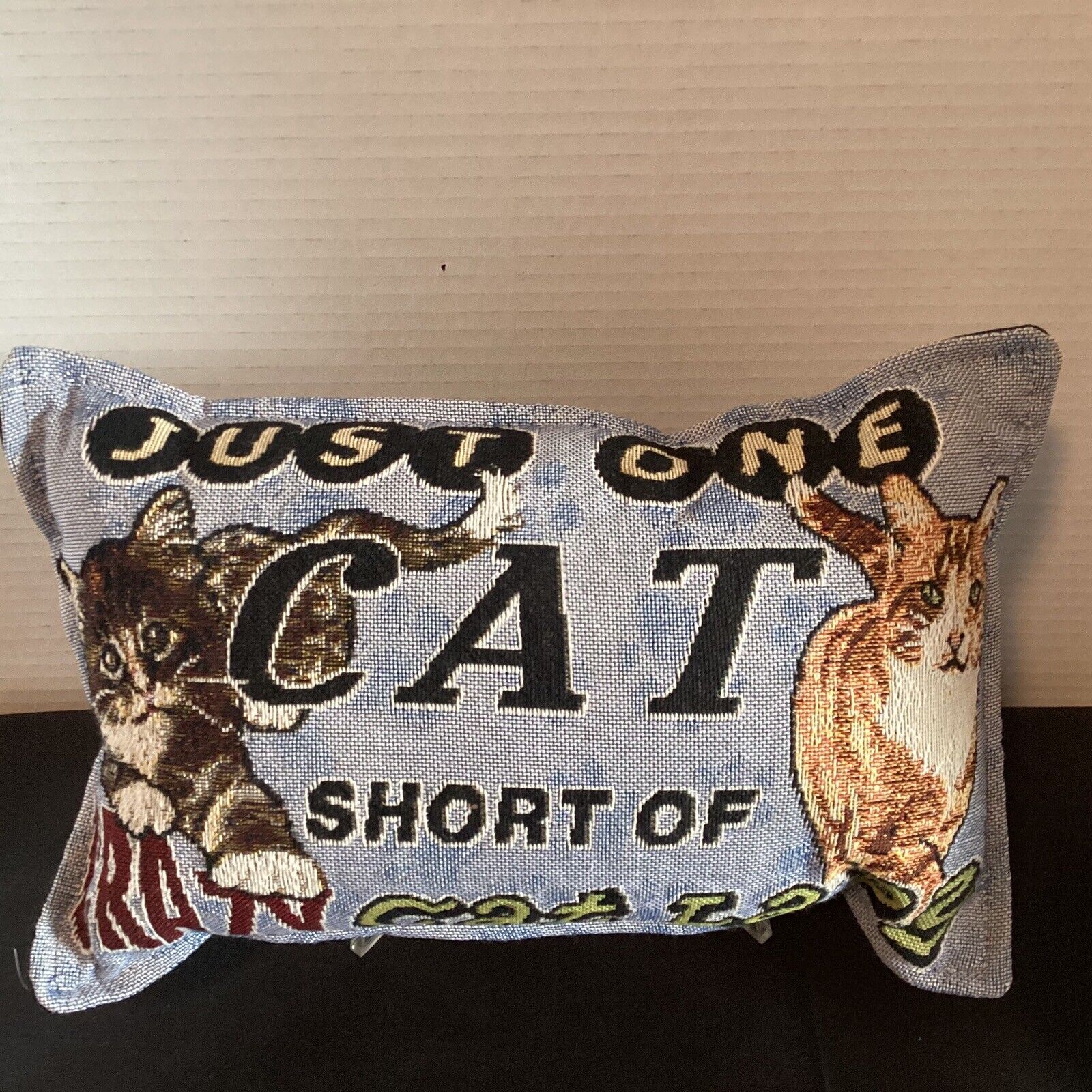 Cat Throw Pillow Tapestry “One Cat Short” Unbranded