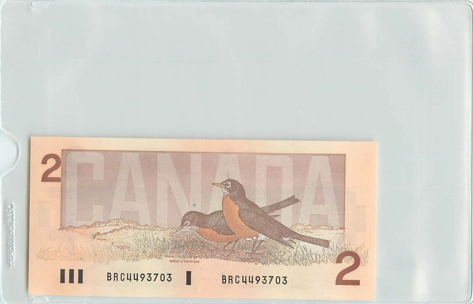 Canadian Banknotes Без бренда - фотография #2