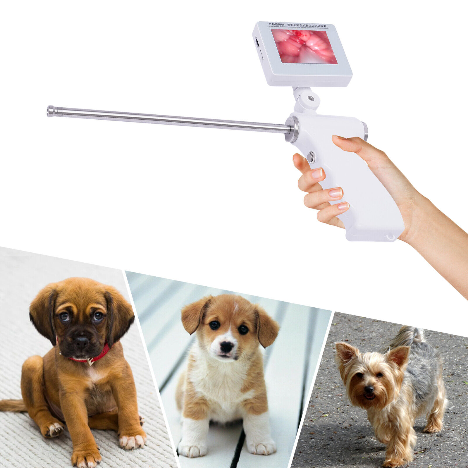Visual Artificial Dog Insemination Gun Kit 5MP Camera + 20x Insemination Tubes Unbranded Does Not Apply - фотография #23