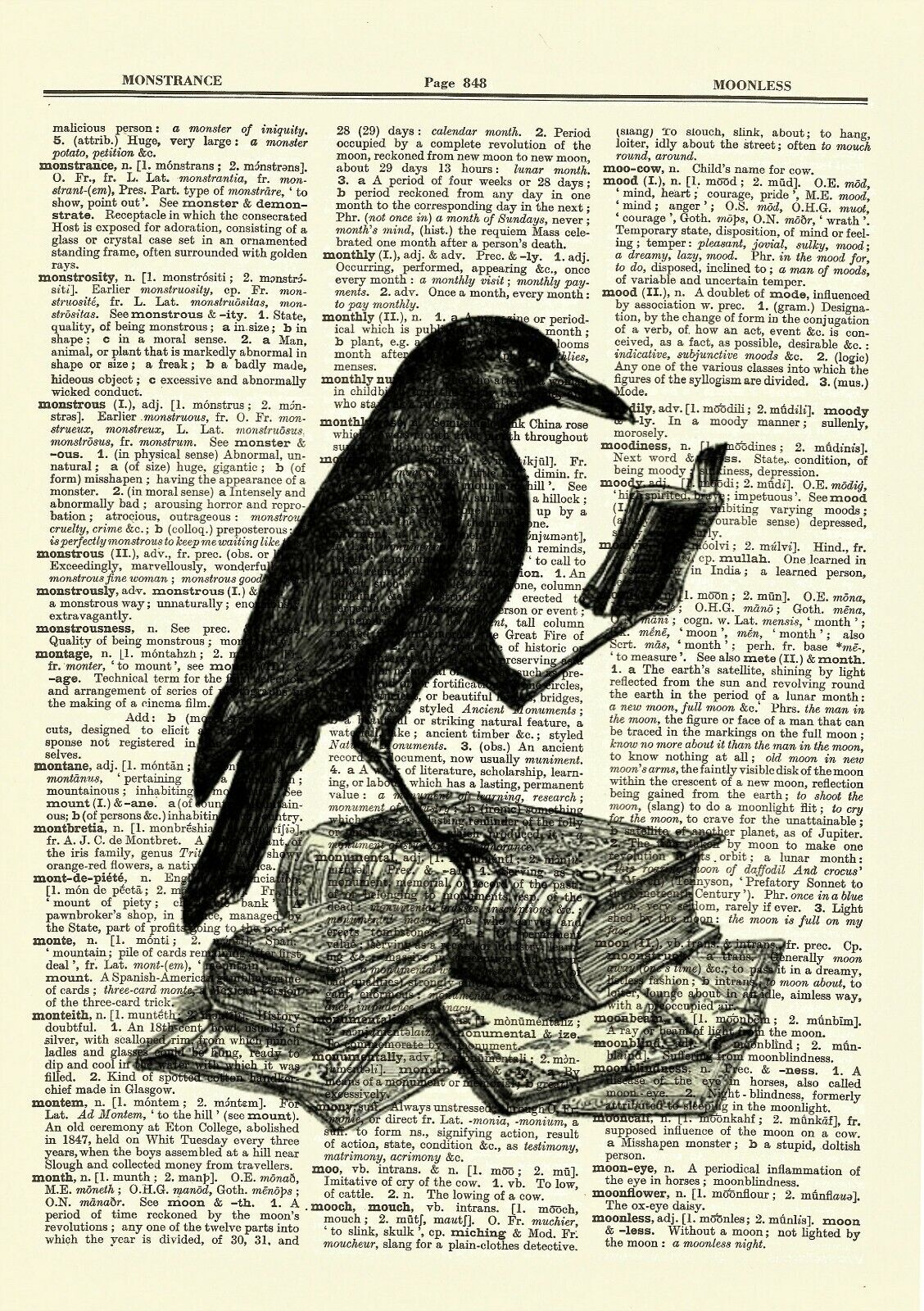 Edgar Allan Poe Vintage Dictionary Art Print Poster The Raven On Books Victorian Без бренда - фотография #2