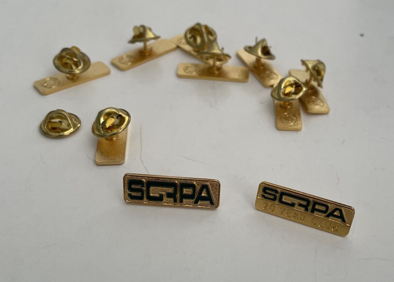 LOT of 10 SCRPA South Carolina Recreation & Parks Association Hat Lapel Pin Без бренда