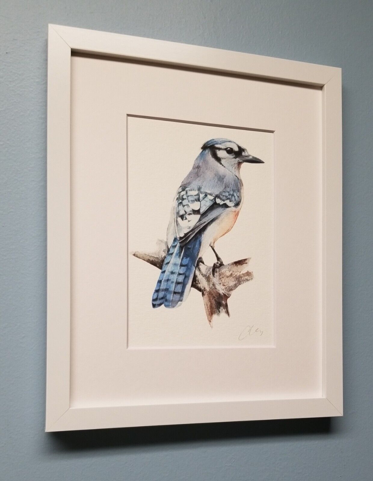 Blue Jay. Print of an original watercolor painting. Backyard Bird illustration. Без бренда