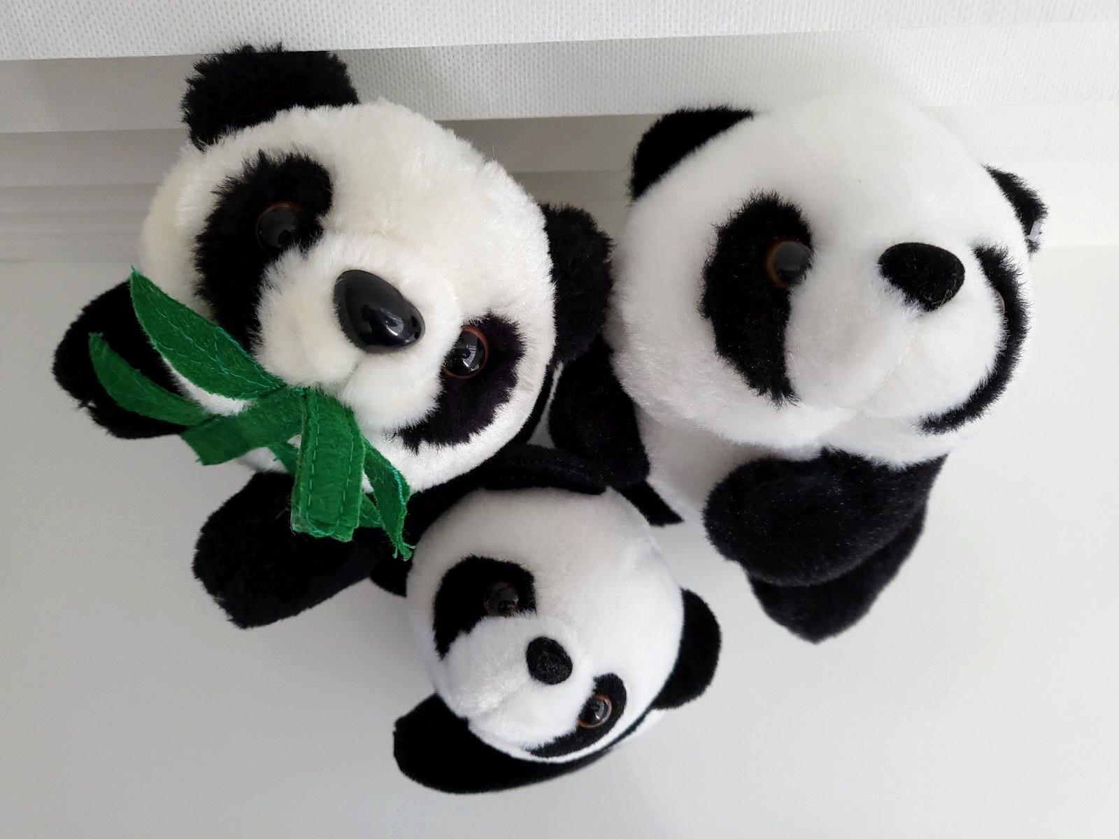Panda Plush Bulk Lot of 3 Bears Soft Stuffed Toys River Safari Singapore Bamboo River Safari Singapore - фотография #2